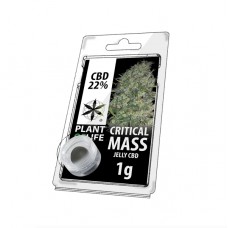 Critical Mass jelly CBD 22%
